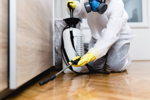 Best Ant Control Services  in Santa Fe, NM