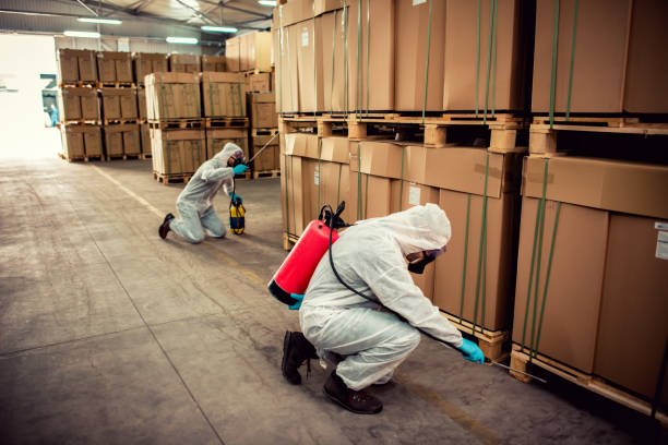 Best Flea Control Services  in Santa Fe, NM