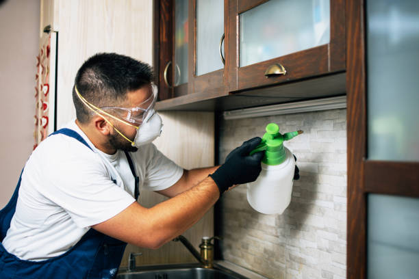 Best Rat Extermination Near Me  in Santa Fe, NM
