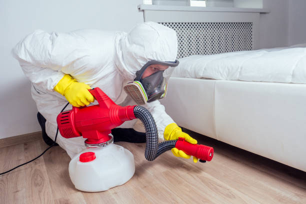 Best Mosquito Control Services  in Santa Fe, NM