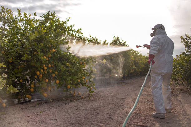 Best Pest Prevention Services  in Santa Fe, NM