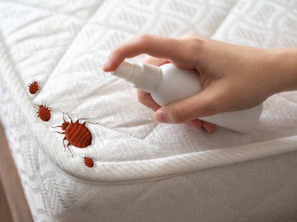 Best Residential Pest Control  in Santa Fe, NM