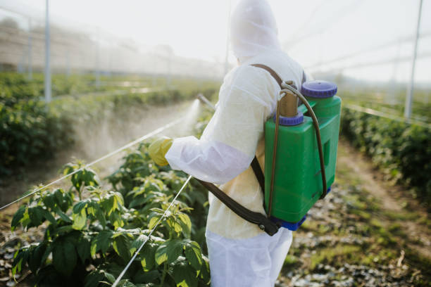 Professional Pest Control in Santa Fe, NM